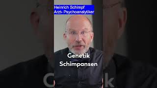 Stimmt unsere Genetik mit den Schimpansen überein psychology fyp viralonyoutube trendingvideo [upl. by Notlim]