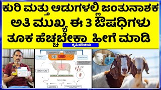 EP5 Deworming goats and sheep with herbal medicines  ಟಗರುಗಳಿಗೆ ಅತಿ ಮುಖ್ಯ  9108208475 [upl. by Berkley]