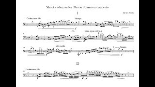 Short cadenzas for Mozart bassoon concerto [upl. by Bottali]