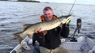 Irish Fishing Tours  Catchin Fish [upl. by Highams]