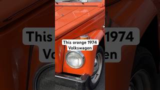 The 15000 VW Thing That Will Change Your Life [upl. by Enitselec]