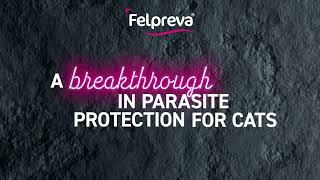 Felpreva®  easier parasite protection for your cat [upl. by Neggem]