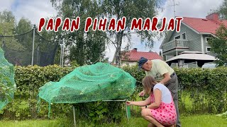 Papan takapihan marjat [upl. by Iahk]