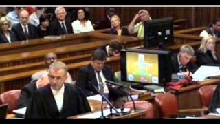 Oscar Pistorius trial Day 4 Dr Johan Stipp testimony [upl. by Uchish]