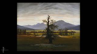 Caspar David Friedrich  Der einsame Baum [upl. by Sivaj]