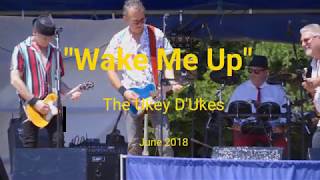 The Ukey Dukes  Wake me up [upl. by Acinom]