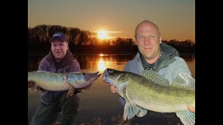 dicke Hechte und Zander in Holland Mega Barschangeln on Top [upl. by Danzig991]