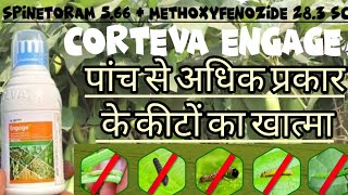 spinetoram 566  methoxyfenozide 283 sc  corteva engage insecticide  corteva engage  engage [upl. by Gertrudis]