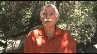 Just Dowse Discussion about Dowsing Tools Dowsing part 5 [upl. by Acimot465]