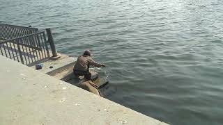 Fishing at Ahmedabad Sabarmati riverfront [upl. by Nayllij997]