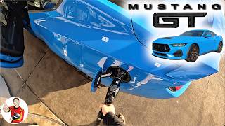 What Its Like to Live with a 2024 Ford Mustang GT Manual POV [upl. by Earlie819]