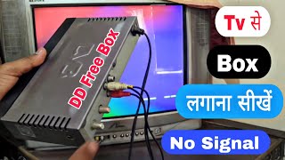 DD Free Dish Box Ko Tv Se Kaise Connect Karen  Box Tv Se Kaise Connect Karen  Free Dish Reset 2024 [upl. by Pytlik400]