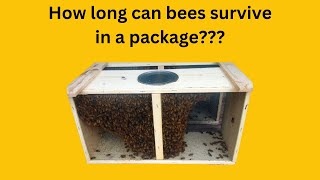 How long can a package of bees survive in the mail [upl. by Ekusoyr]