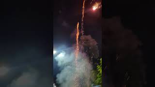 35 Sony fireworks skyshots with standard crackers phataka fireworksdisplay shorts indian [upl. by Klinger]