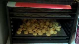 BexarPreppers QampA and Dehydrated Tator Tots [upl. by Orman308]