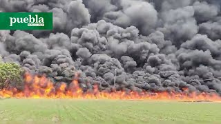 Incendio consume maderería vehículos y un taller mecánico en San Gregorio Atzompa Puebla [upl. by Calvano]