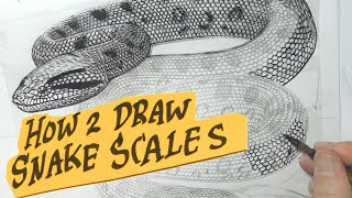 HOW 2 DRAW SNAKE SCALES  A QUICK GUIDE [upl. by Lohrman489]