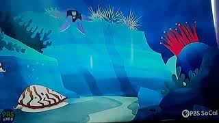 Wild Kratts Stars Of The Tides Martin Activates Starfish Powers Scene  Sunstar Scene [upl. by Paz934]