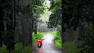 Rain  Misty climate in Pulpally Sulthan bathery Road❤️❄️ Beautiful forest 🛣️ road wayanad nature [upl. by Husch]