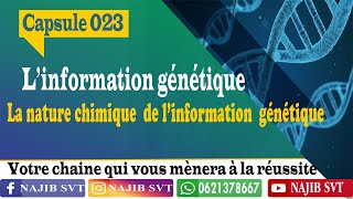 La nature chimique de linformation génétique ADN [upl. by Anaeg]