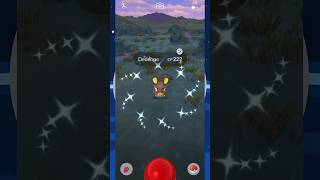 Shiny Dedenne In Pokemon Go pokemon shinypokemon shinyhunting pokemongo dedenne [upl. by Yeta45]