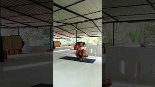 Marichasana D in ashtanga primary series Mysore style Vinyasaflow yogayogiashtangavinyasaasana [upl. by Hindu]