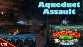 Donkey Kong Country Tropical Freeze  63 Aqueduct Assault [upl. by Bing19]