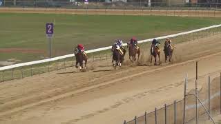 Bundaberg 20241105 Race 2 [upl. by Trainer]