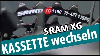 Sram Kassette wechseln  ALLE XG 712 fach KassettenRitzelpakete [upl. by Nollahp761]