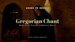 Gregorian Chant 🎹 Ambience music 🎶 Adoro te devote [upl. by Theodoric]