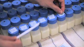 Donating Breast Milk Part 1 [upl. by Ashlie201]