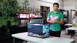 Adding Water to Your ECOCycle Aquaponics Kit [upl. by Eutnoj]