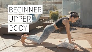 BEGINNER UPPER BODY WORKOUT  Foundational exercises form cues no equipment  Dr LA Thoma Gustin [upl. by Darda]