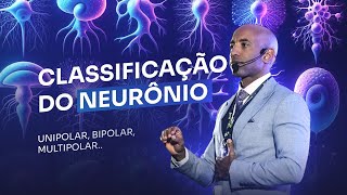 Dr Edson Urubatan Como é CLASSIFICAÇÃO MORFOLÓGICA DO NEURÔNIO  parte3 [upl. by Hazrit]