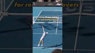 These 2 Shapo points are absolutely insane 🤯 tennis UTS Shapo [upl. by Strait]