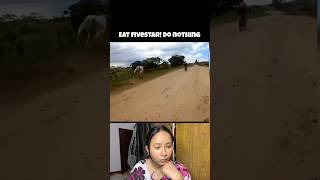 Eat fivestar Do nothing😅 meme funny funnymemes reactionvideo trending memes comedy reaction [upl. by Assirek]