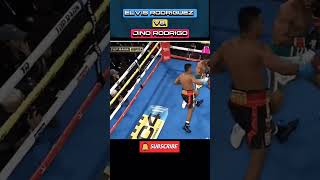 REVIEW RODRIGOS FIRST KNOCKDOWN WAS BY AN ELBOW boxing fans asmr trendingko sv581 [upl. by Akehs]