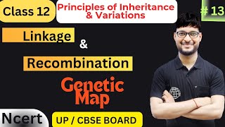 Linkage and Recombination  Class 12 Biology  NCERT UPCBSE BOARD  Manish sir [upl. by Julienne578]