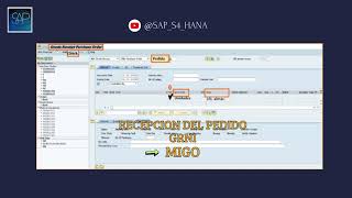 Recepción de pedido en SAP P2P2 migo recepcionpedidosap sapmigo certificacionsap saps4hana [upl. by Eppillihp]