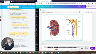 Les REINS ET le SYSTÈME URINAIRE dans le VIEILLISSEMENT PHYSIOLOGIQUE gériatrie [upl. by Anihtyc]