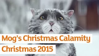 Mog’s Christmas Calamity  Sainsbury’s Ad  Christmas 2015 [upl. by Rialc]