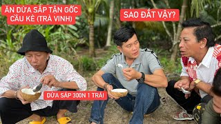 Bảo Chung Khương Dừa ăn dừa sáp tại gốc Cầu Kè Trà Vinh giờ mới hiểu vì sao 300 ngàn 1 trái [upl. by Ethyl]