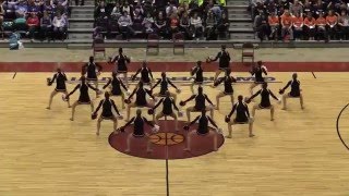 Middleton Dance Team2016 WACPC State D1 Pom [upl. by Amuh]