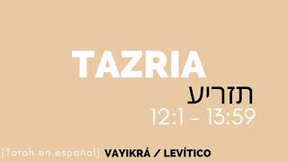 Parashá Tazria Levítico Torah en español audio Parashat [upl. by Benetta]