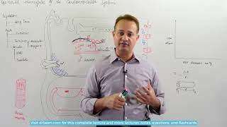 Blood Flow Autoregulation [upl. by Roos]