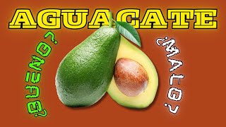 ¿Es Bueno Comer Aguacate Conoce sus Beneficios y Precauciones [upl. by Suivatnod]