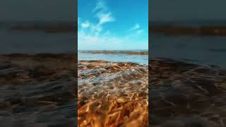 CALMING SEA WAVES AND RELAXING MUSIC [upl. by Guenevere]