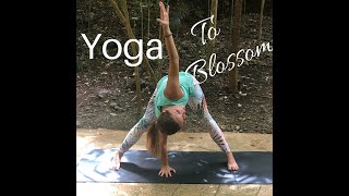 Yoga to Blossom  VINYASA FLOW [upl. by Fania]