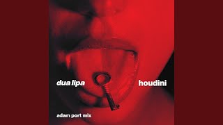 Houdini Adam Port Mix [upl. by Tobe507]