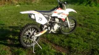 moto shineray purecross250cc Chez MTsports [upl. by Gnus]